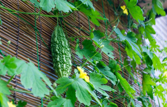 28389553945_9afa1917e7_rre