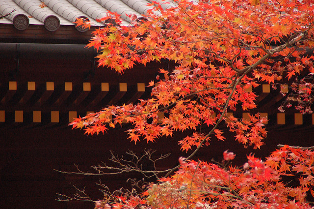 3002682754_5500d0ab0a_z