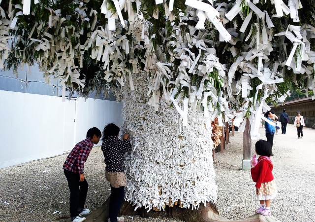 47254a7e43d63878991d31de3a43eed5_s