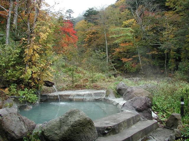 cab2893851e93a877bb36946c5e505c4_re