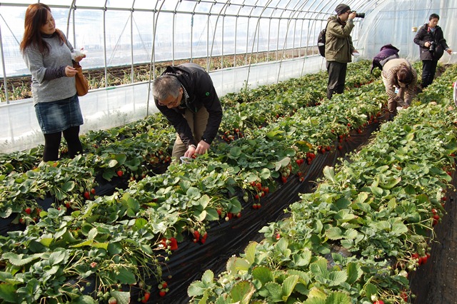 ????????????????????????????????????