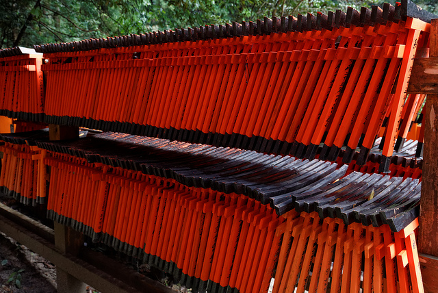 11122017625_0208ac82ab_z