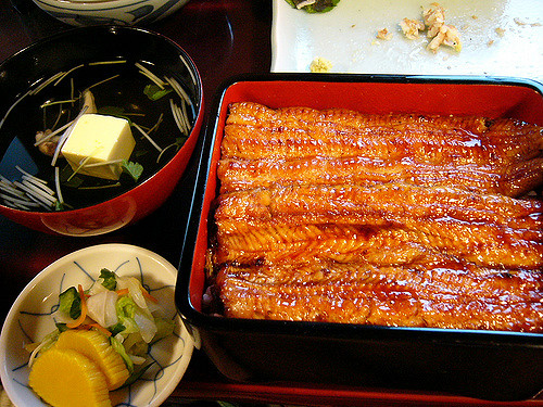 3428737294_d45fc23093_z