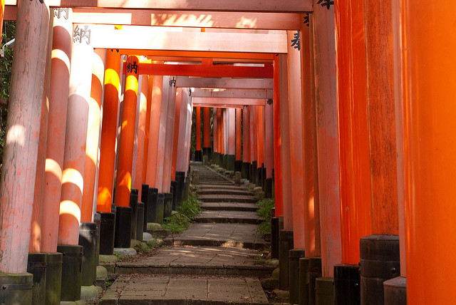 3848733878_2f5bcceb34_z