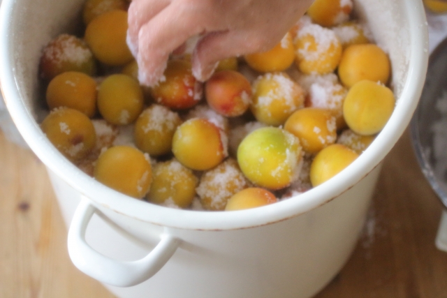 38d42b0d7e8b873139fbfad3595d6eb2_s