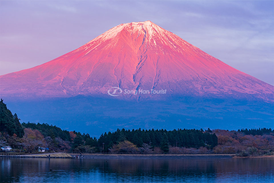 nui-phu-si-do-red-fuji