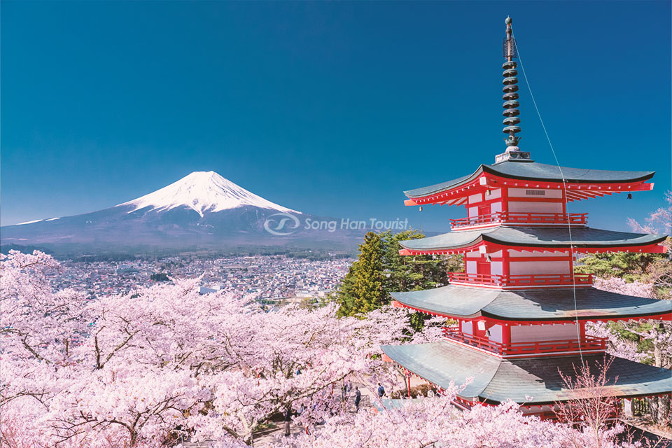 nui-phu-si-chua-chureito