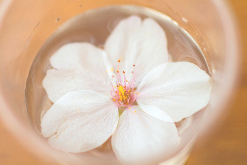 vua-thuong-thuc-ruou-sake-vua-ngam-hoa-se-la-mot-trai-nghiem-vo-cung-thu-vi