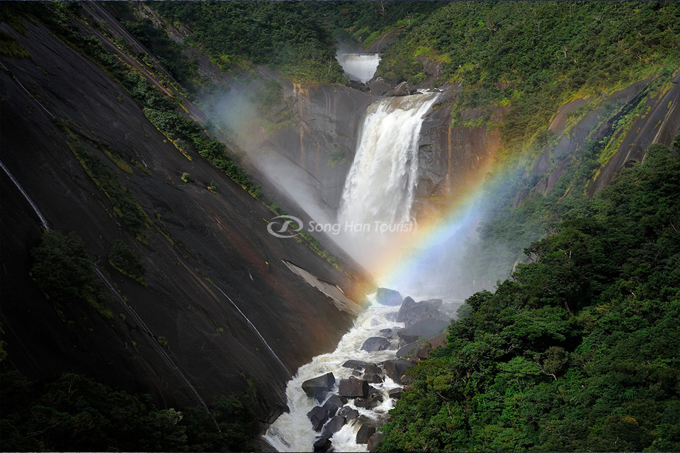 thac-nuoc-senpiro-dao-yakushima-kagoshima