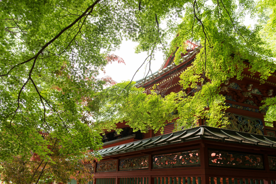 Khung cảnh yên bình tại khu núi Takao 