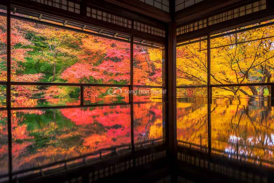 Chùa Ruriko-in Kyoto