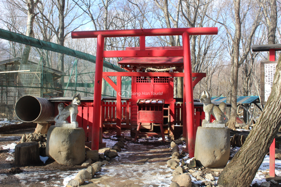 Các bức tượng của linh vật cáo Inari trong khuôn viên ngôi làng