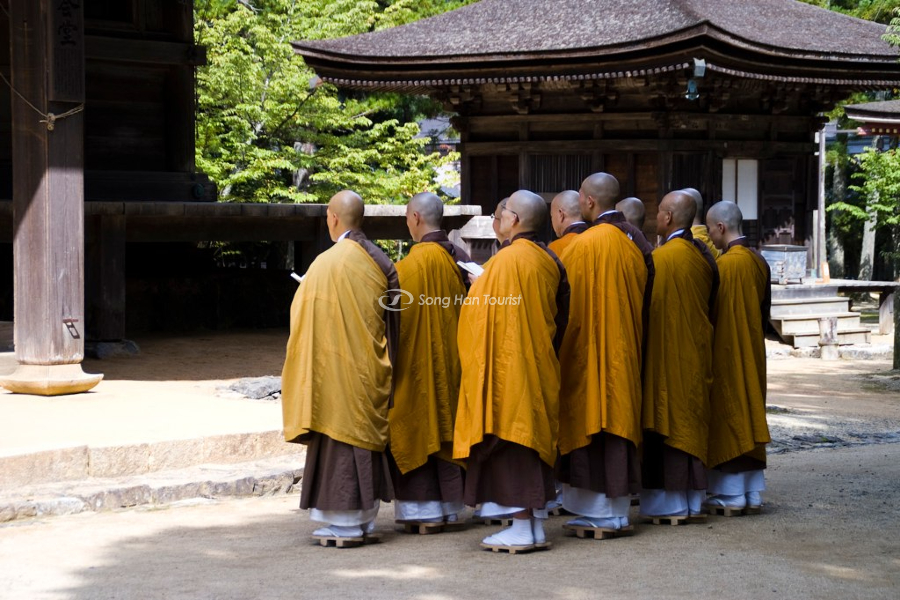Các nhà sư đang tu hành tại Koyasan