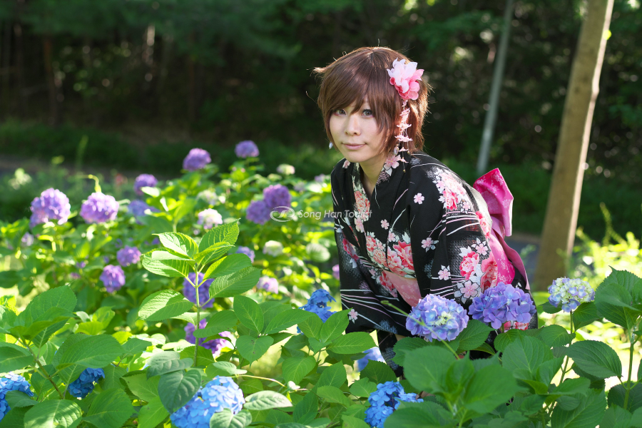 Cẩm tú cầu còn tượng trưng cho tình yêu 