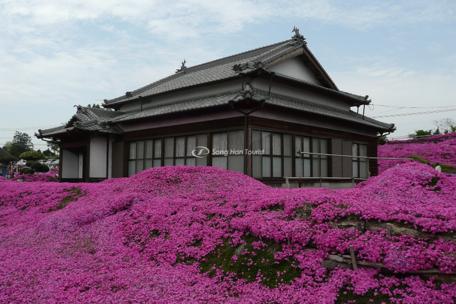  Căn nhà bình dị của gia định cụ Kuroki