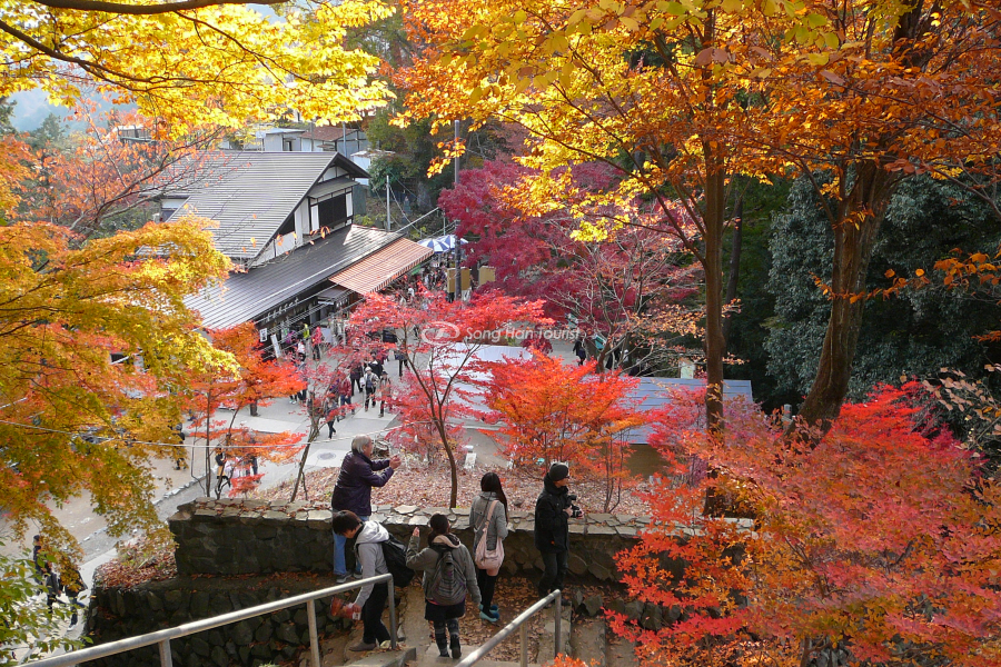 Cảnh đẹp Nhật Bản mùa lá đỏ 