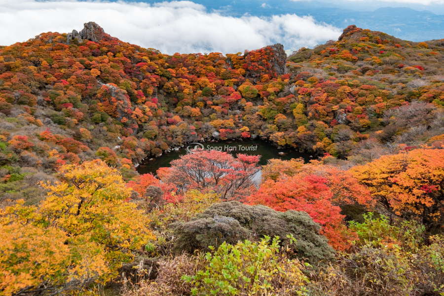 Cảnh sắc mùa thu Nhật Bản được tái hiện tại Oita 
