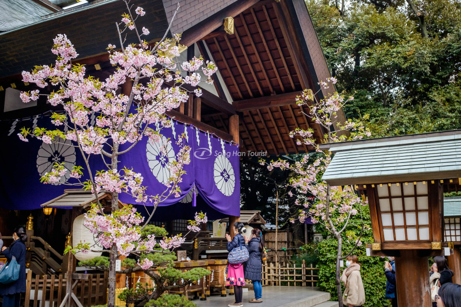 The solemn scene at the temple 
