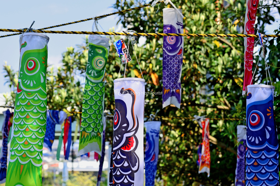 Cờ cá chép đặc sắc được treo khắp nẻo đường 