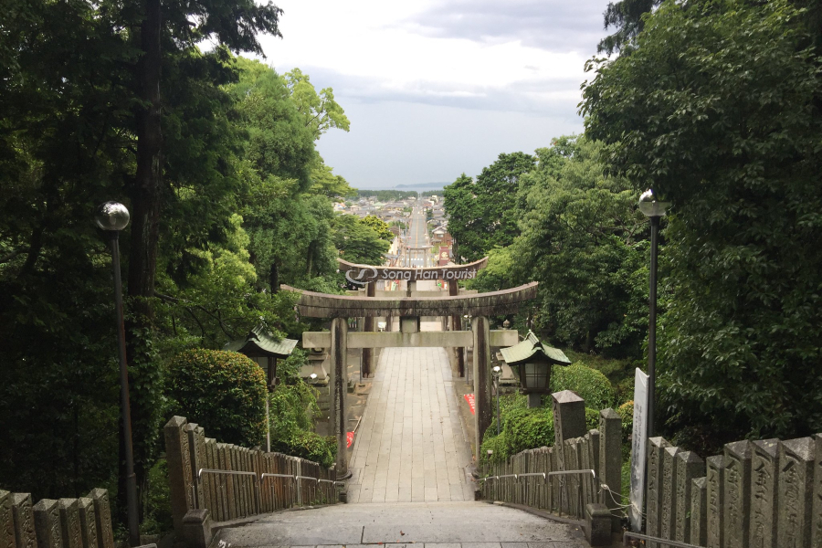 Con đường ánh sáng nguy nga