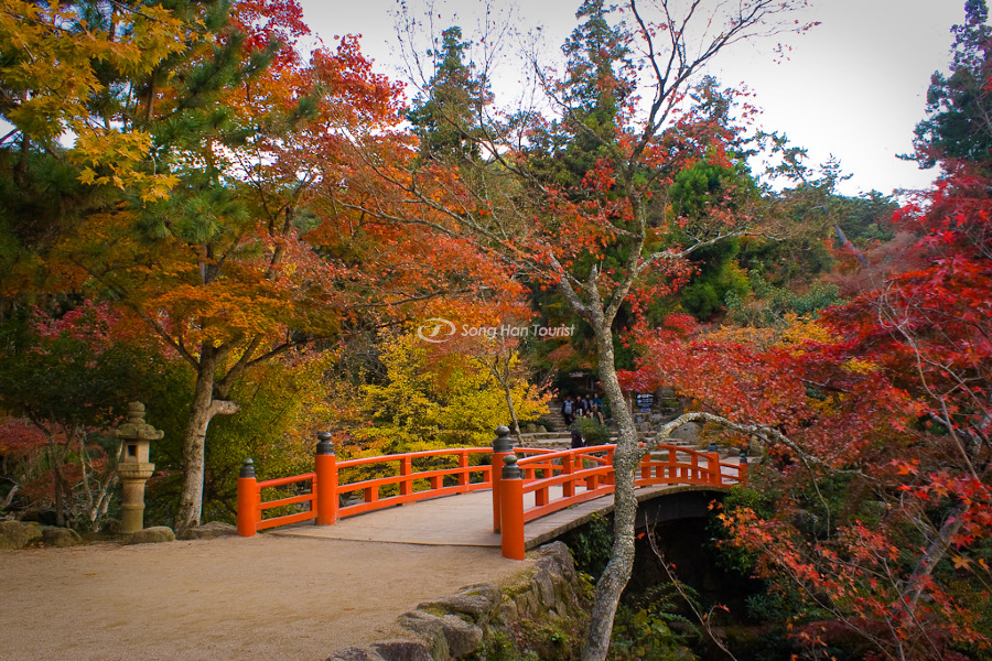 Công viên Momijidani vào mùa thu