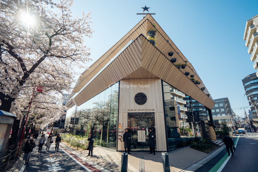 Cửa hàng Starbucks tại Tokyo mùa hoa anh đào đẹp rực rỡ 