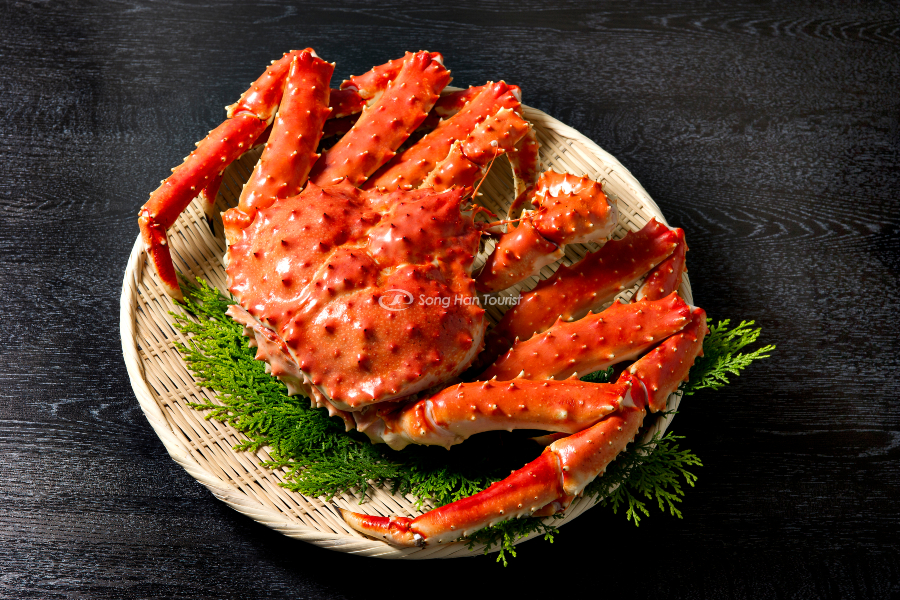 Cua tuyết với hình dáng đặc trưng