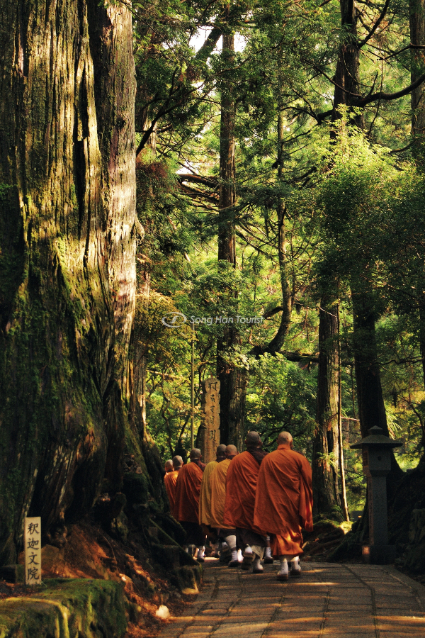 Địa điểm du lịch Wakayama linh thiêng