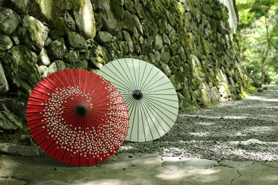 du-Wagasa-doc-dao-cua-nguoi-nhat-ban