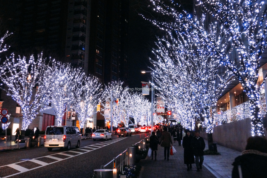 Đường phố ngập tràn ánh sáng lung linh