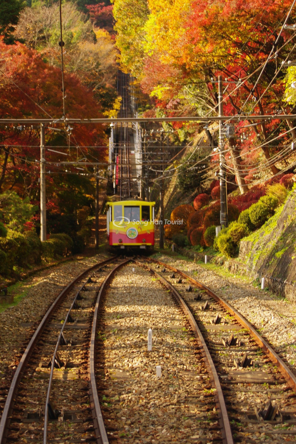 Đường tàu tuyệt đẹp vào mùa thu