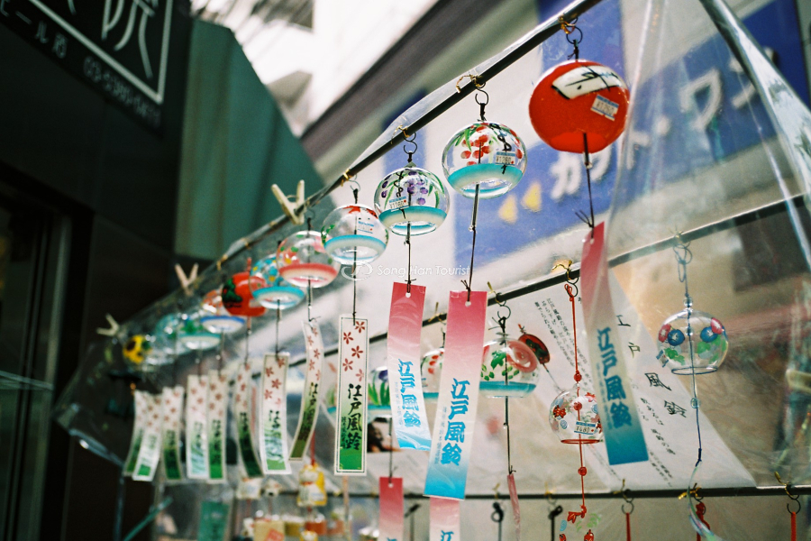 Furin - biểu tượng mùa hè Nhật Bản 