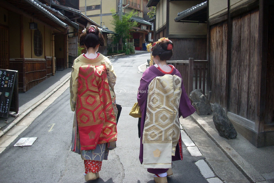 Geisha và Oiran có nhiều điểm khác biệt nhau không phải ai cũng biết