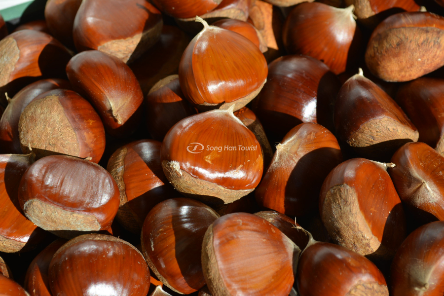 Hạt dẻ sau khi đã được nhặt vỏ gai