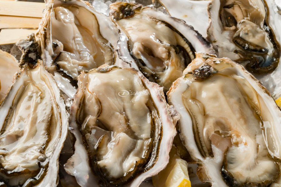 Hàu tươi tại Hiroshima được xuất đi nước ngoài