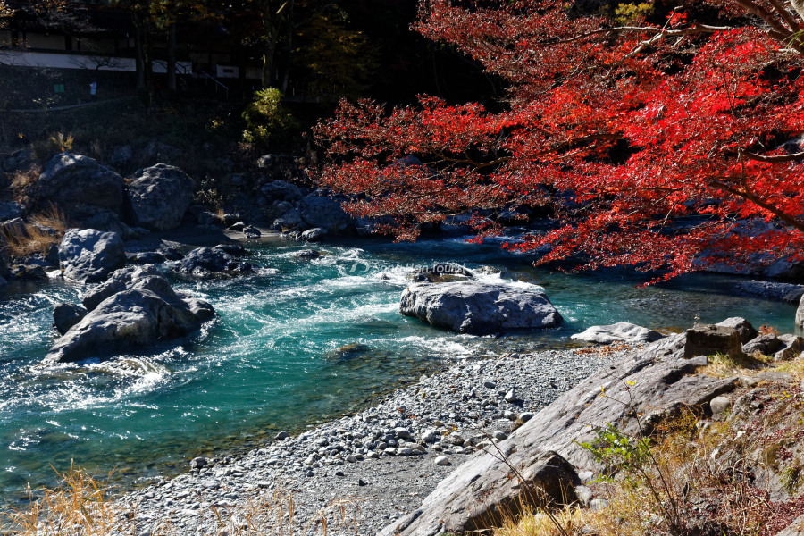Hẻm núi Mitake với màu nước đối lập màu mùa thu