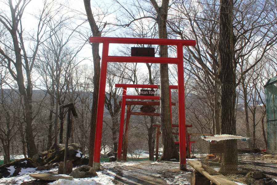 Khu vực yên bình có cổng Torii đặc trưng của văn hóa Nhật Bản