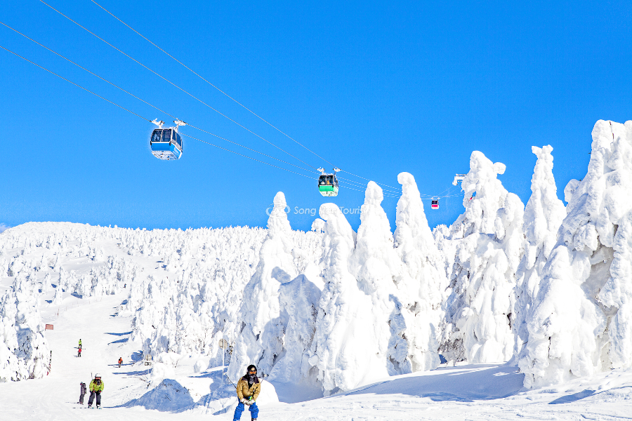 Khung cảnh độc đáo của rừng tuyết Zao