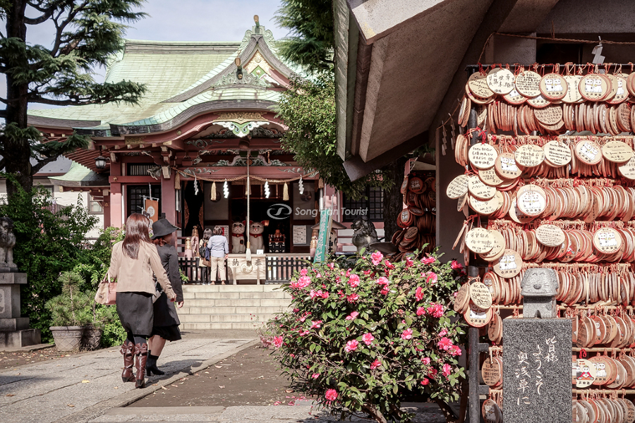 The temple grounds are not too big but have a unique Japanese culture