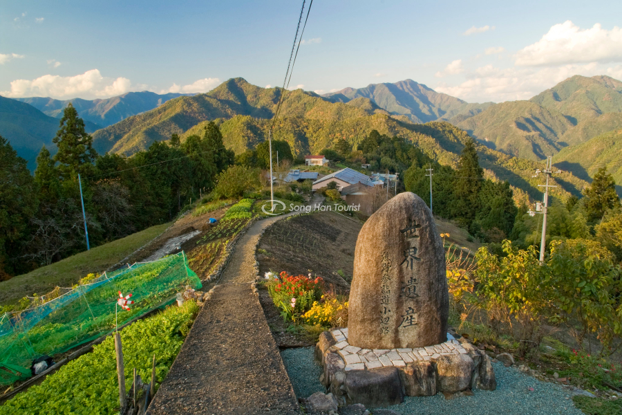 Một góc đường tuyệt đẹp khi khám phá Kumano Kodo