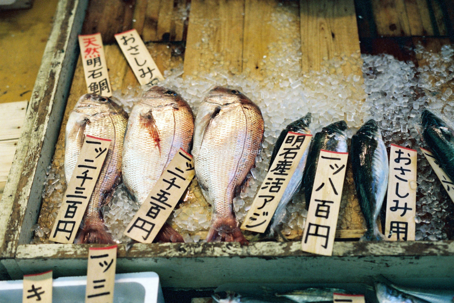 Một số loại cá tươi sống được dùng làm Sashimi 