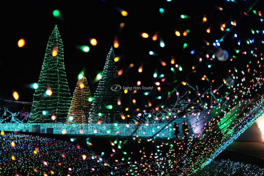 Ngày mùa đông lung linh nhờ ánh đèn LED rực rỡ
