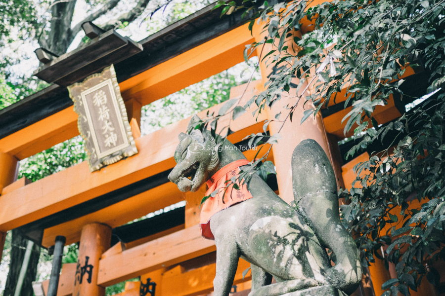 Ngôi đền thờ thần cáo 