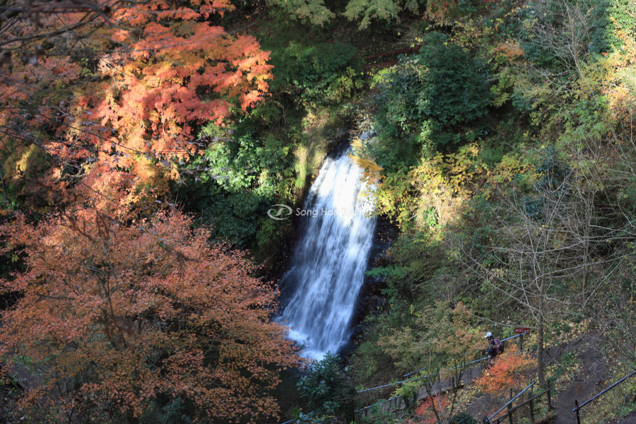 Ngọn thác vừa hùng vĩ vừa thơ mộng