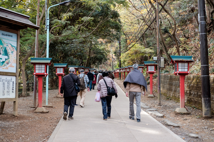 Người dân và du khách tham gia leo núi