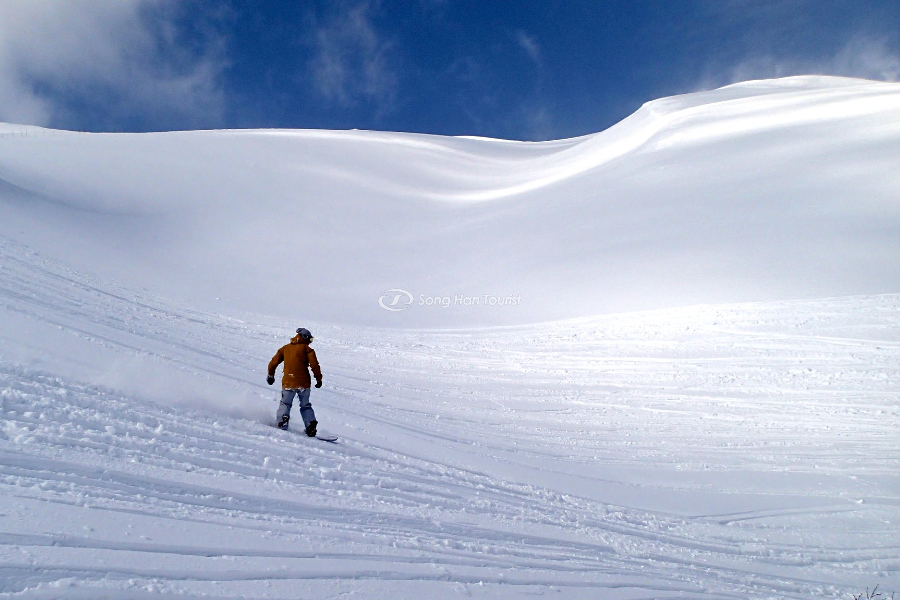 Niseko với bao quanh là tuyết trắng 