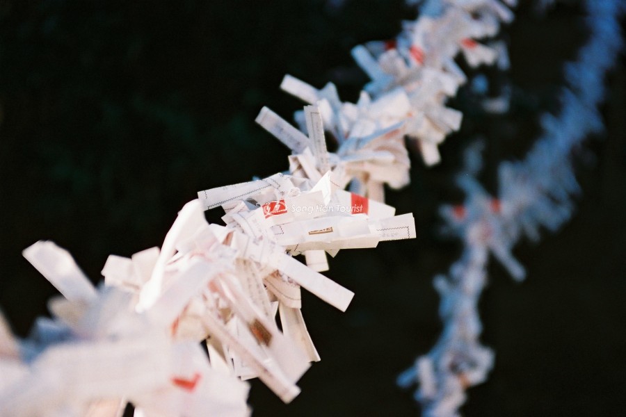  Omikuji gắn với nhiều lời dự đoán tương lai