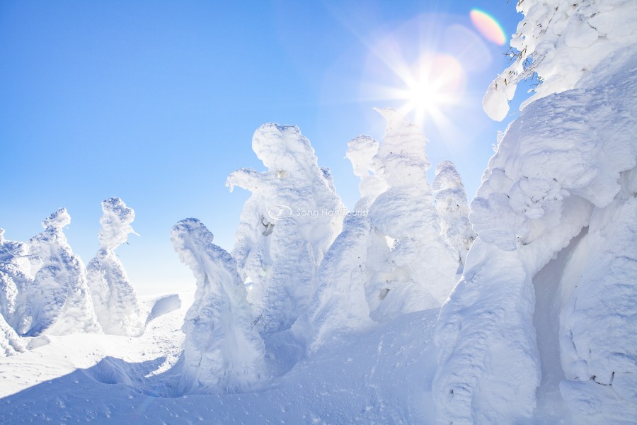 Quái vật tại núi Zao