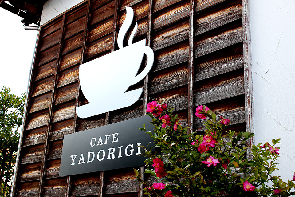 Quán cafe mèo nổi tiếng tại đất nước mặt trời mọc 