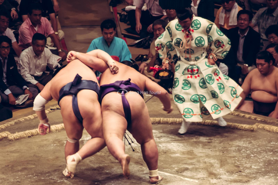 Sumo và những điều thú vị không phải ai cũng biết 